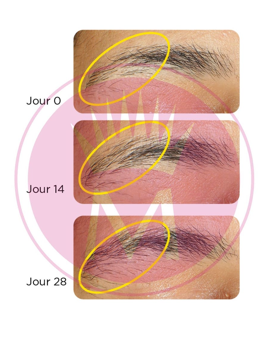 effet sourcils serum cils 14 jours résultats